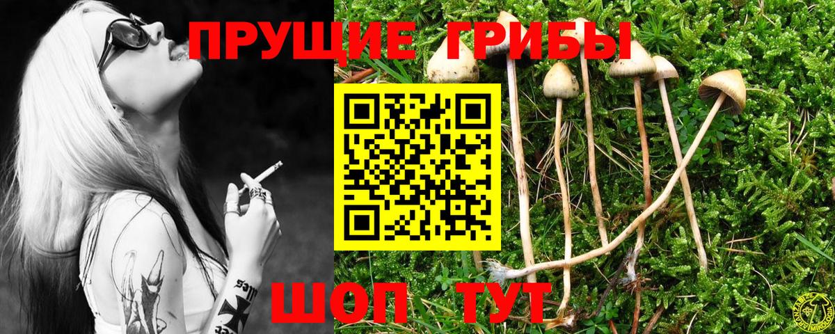 Псилоцибиновые грибы мицелий  Псилоцибиновые грибы Magic Shrooms  Азнакаево  Вход с VPN 