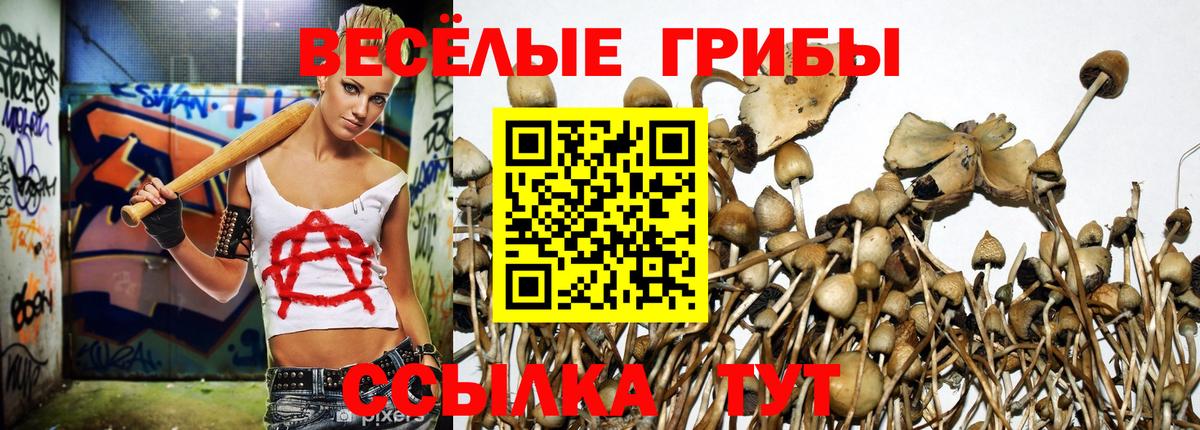 Галлюциногенные грибы MAGIC MUSHROOMS Азнакаево
